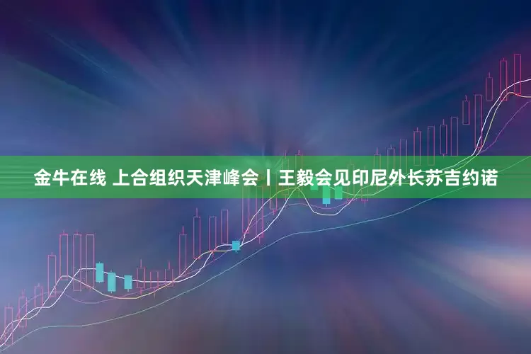 金牛在线 上合组织天津峰会丨王毅会见印尼外长苏吉约诺