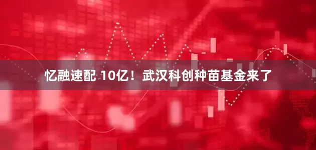 忆融速配 10亿！武汉科创种苗基金来了