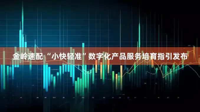 金岭速配 “小快轻准”数字化产品服务培育指引发布